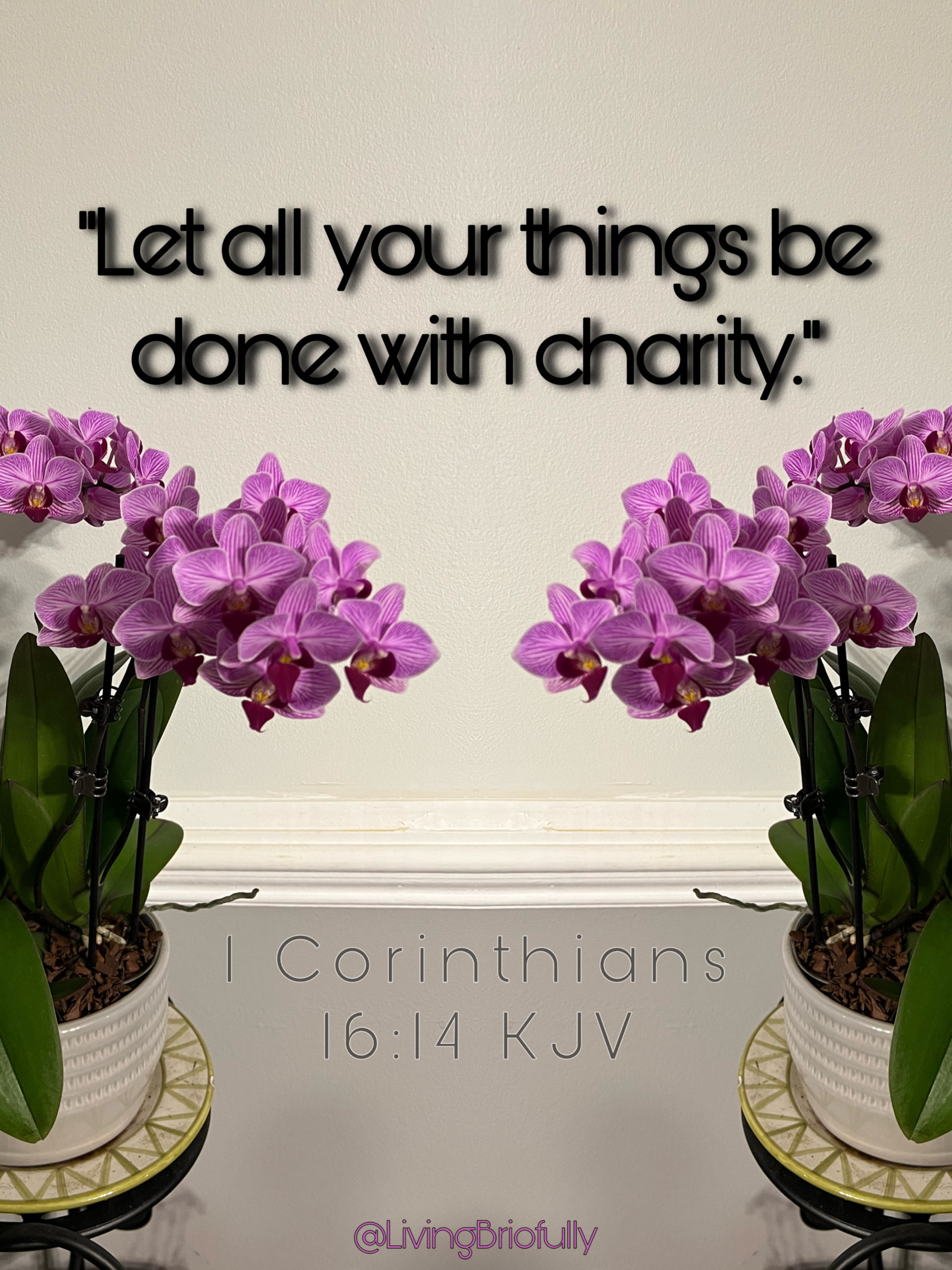 "Let all your things be done with charity" 1 Corinthians 16:14
