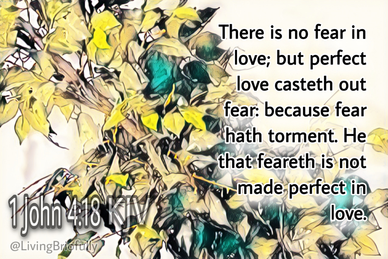 "There is no fear in love; but perfect love casteth out fear: because fear hath torment. He that feareth is not made perfect in love." 1 John 4:18 KJV
