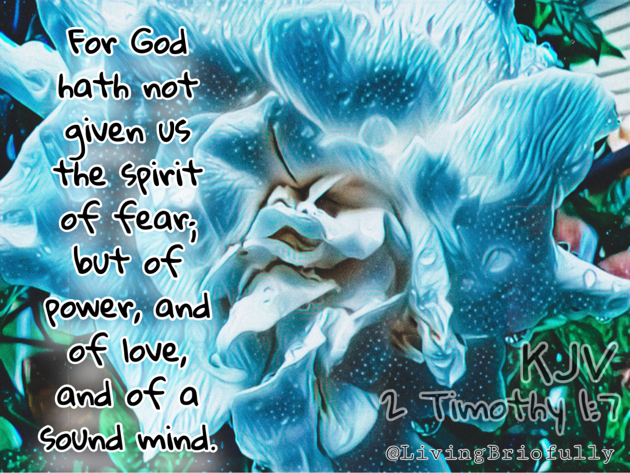 "For God hath not given us the spirit of fear; but of power, and of love, and of a sound mind." 2 Timothy 1:7 KJV