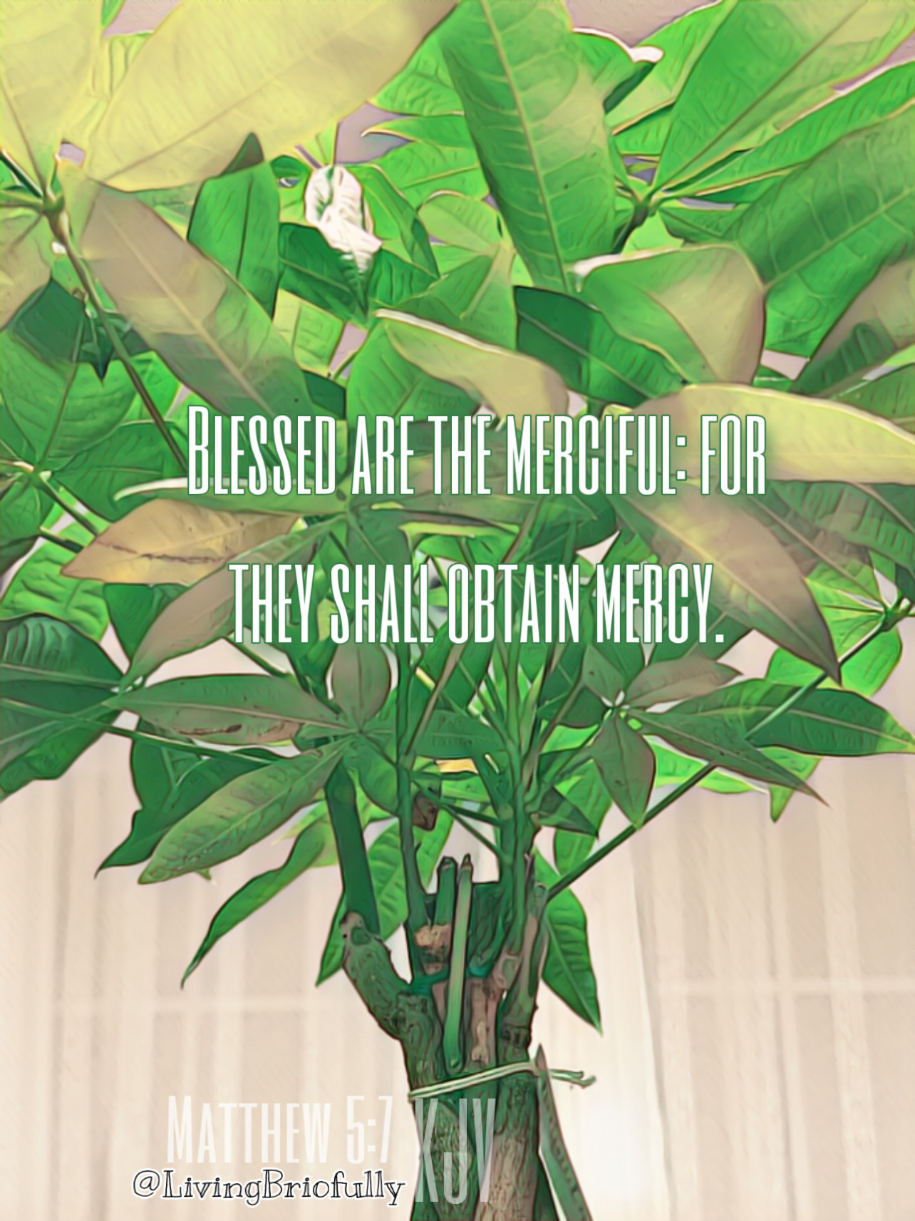 " Blessed are the merciful: for they shall obtain mercy." Matthew 5:7 KJV