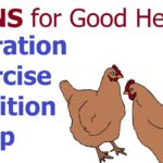 HENS for Good Health
