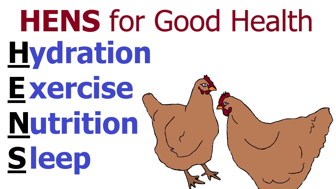 HENS for Good Health